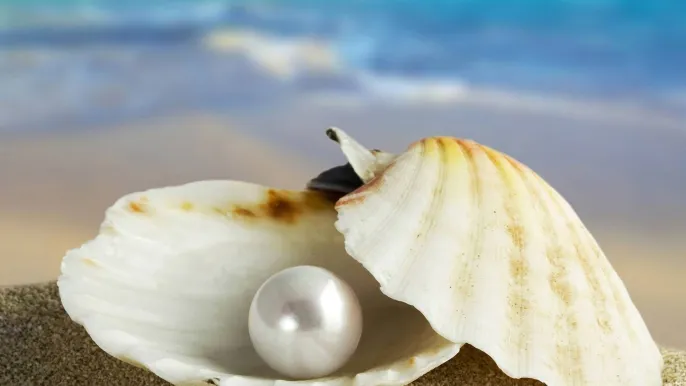 perle (Foto: zvg)