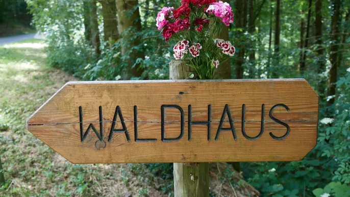 waldhaus (Foto: Tanja Fahrni) waldhaus (Foto: Tanja Fahrni)