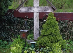 wooden_cross_grave_cemetery 1104771.!d (Foto: CC0 Public Domain / FAQ)