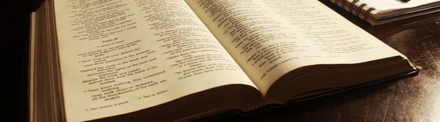 Bibel (Foto: Tanja Fahrni)