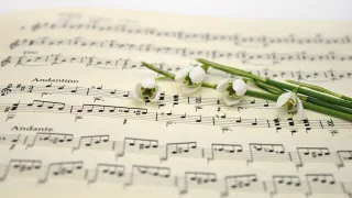 music-7107045_1920-pixabay.com