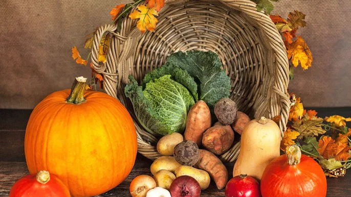 pumpkin-1768857_1280_pixabay.com (Foto: www.pixabay.com) pumpkin-1768857_1280_pixabay.com (Foto: www.pixabay.com)