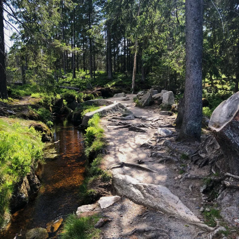 Meine Bilder Meine Bilder