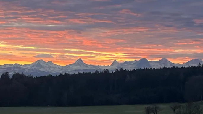 IMG-20240218-WA0000 (Foto: Sekretariat Meikirch) IMG-20240218-WA0000 (Foto: Sekretariat Meikirch)