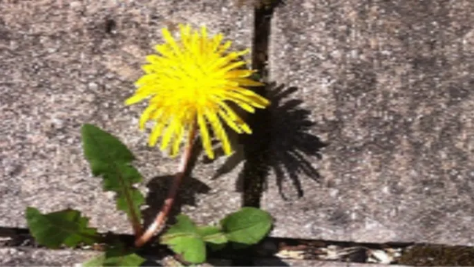 Bild Hiphop 04.26 Bild Hiphop 04.26