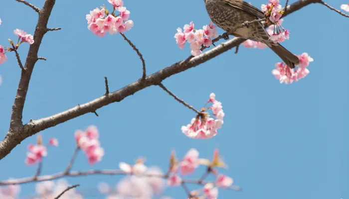 Café Philo 02.26 Pixabay (Foto: Pixabay) Café Philo 02.26 Pixabay (Foto: Pixabay)