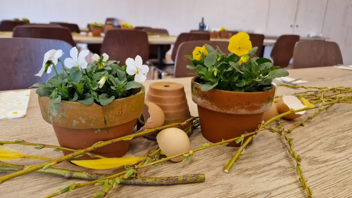 IMG-20260318-WA0009 (Foto: Marianne Roth) IMG-20260318-WA0009 (Foto: Marianne Roth)