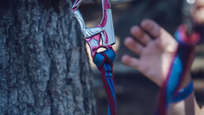 Bild Seilpark Ausflug 26.05 (Foto: Pixabay) Bild Seilpark Ausflug 26.05 (Foto: Pixabay)