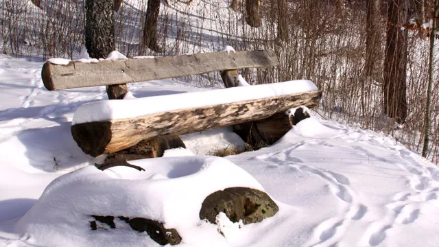 Holzbank im Winter (Foto: David Jufer)